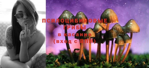 ALPHA PVP Нефтегорск