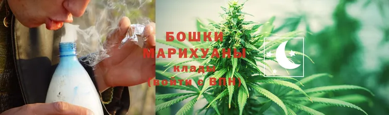 Каннабис White Widow  Ясногорск 